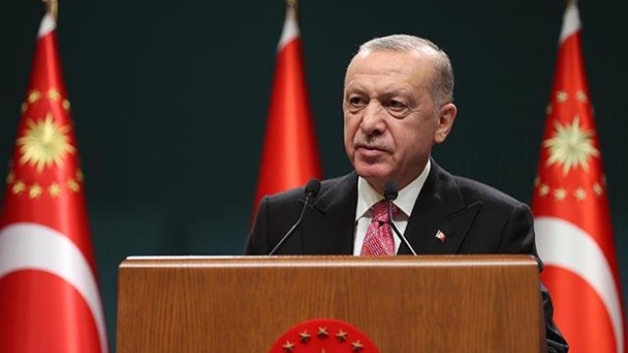 Erdoğan: Türkiye, 5'inci kol faaliyeti yürütenlerden çok çekmiştir