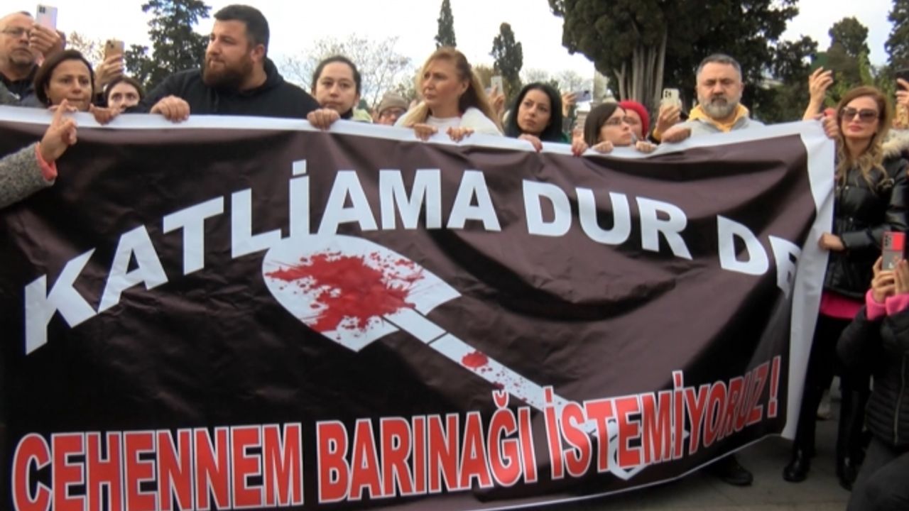 Konya’daki hayvan katliamı Beşiktaş'ta protesto edildi