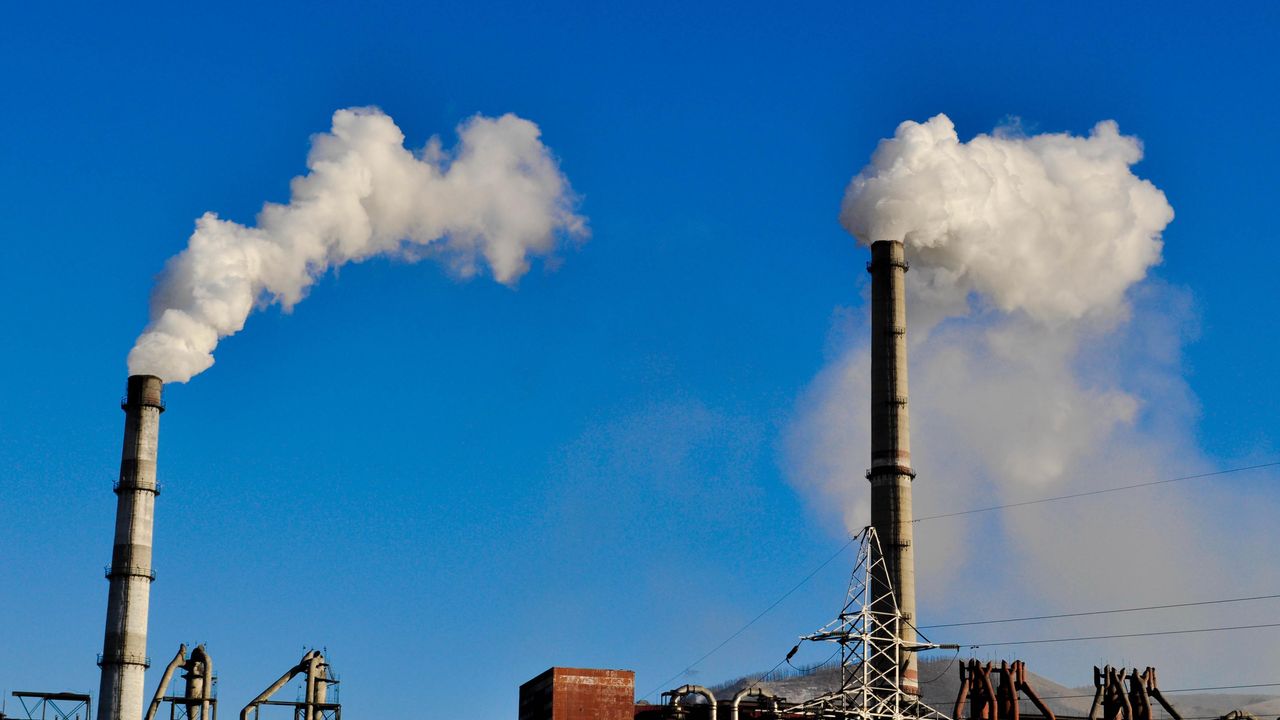 DSÖ: Hava kirliliği kaynaklı ölümler için acil eylem gerekiyor