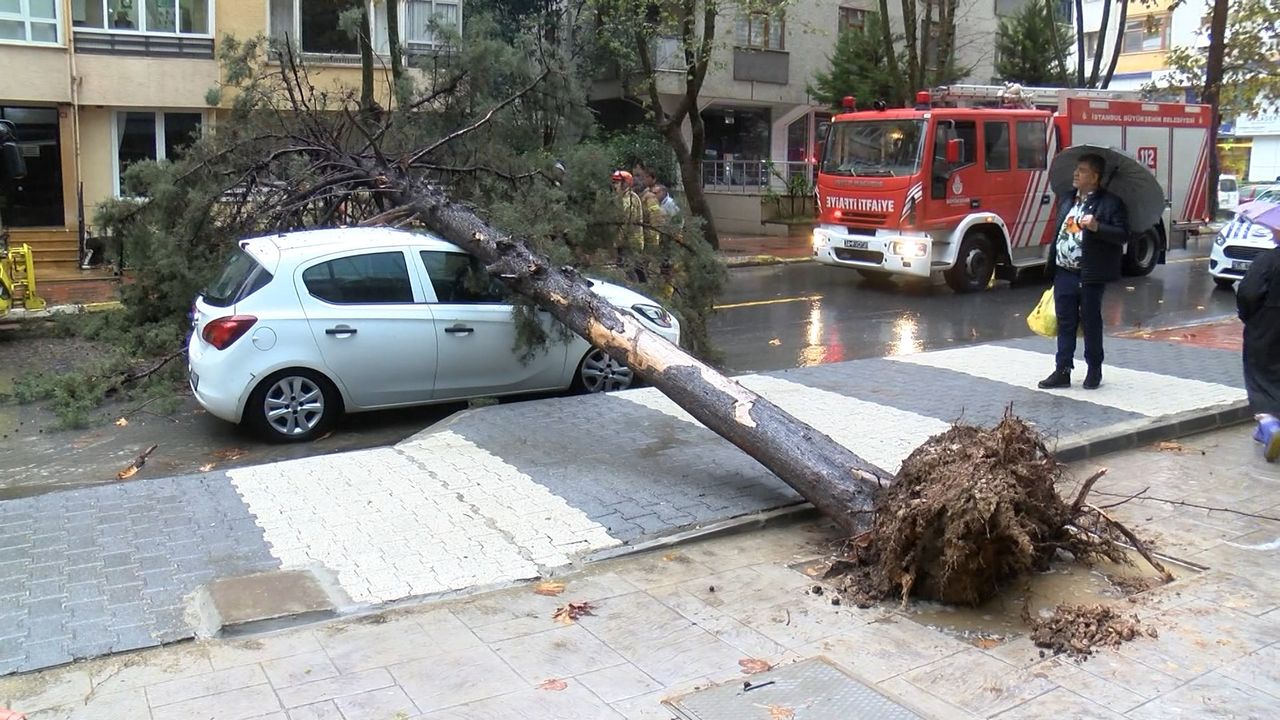 Maltepe'de ağaç otomobilin üzerine devrildi 
