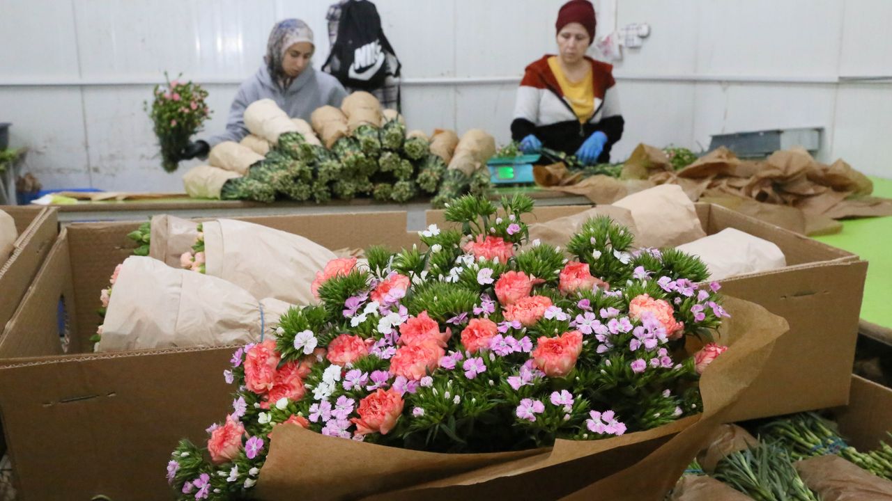 Kişi başı yıllık çiçek tüketimi Avrupa'da 100, Türkiye'de 3 euro
