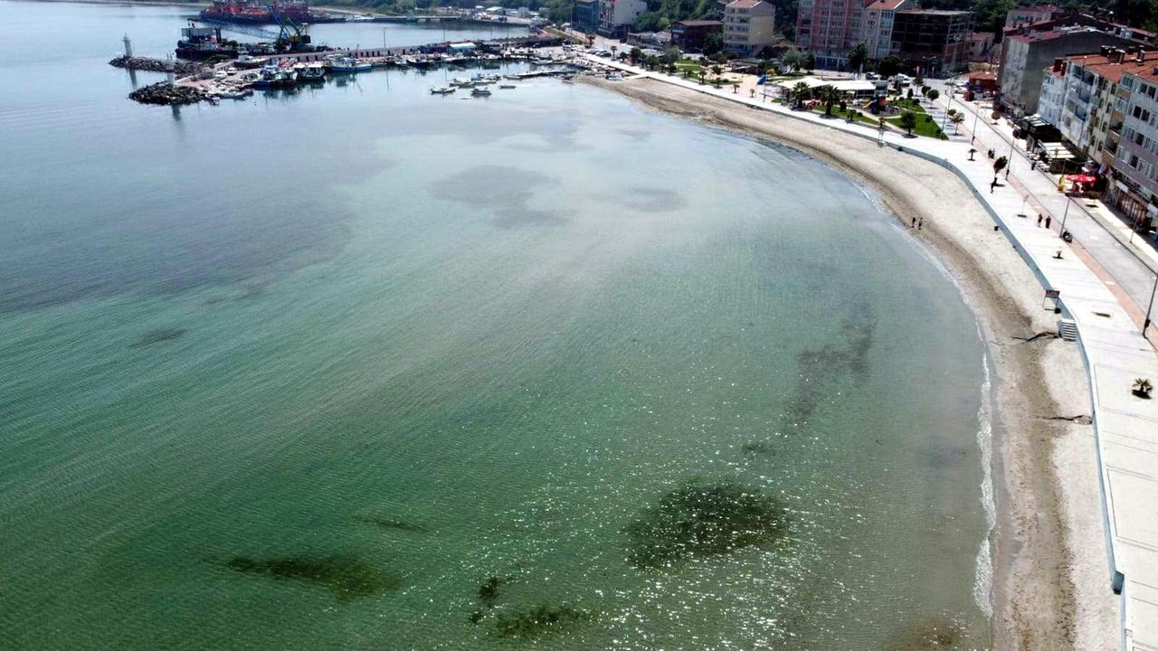 'Marmara Denizi'nde su sıcaklığı 50 yılda 2,5 derece arttı'