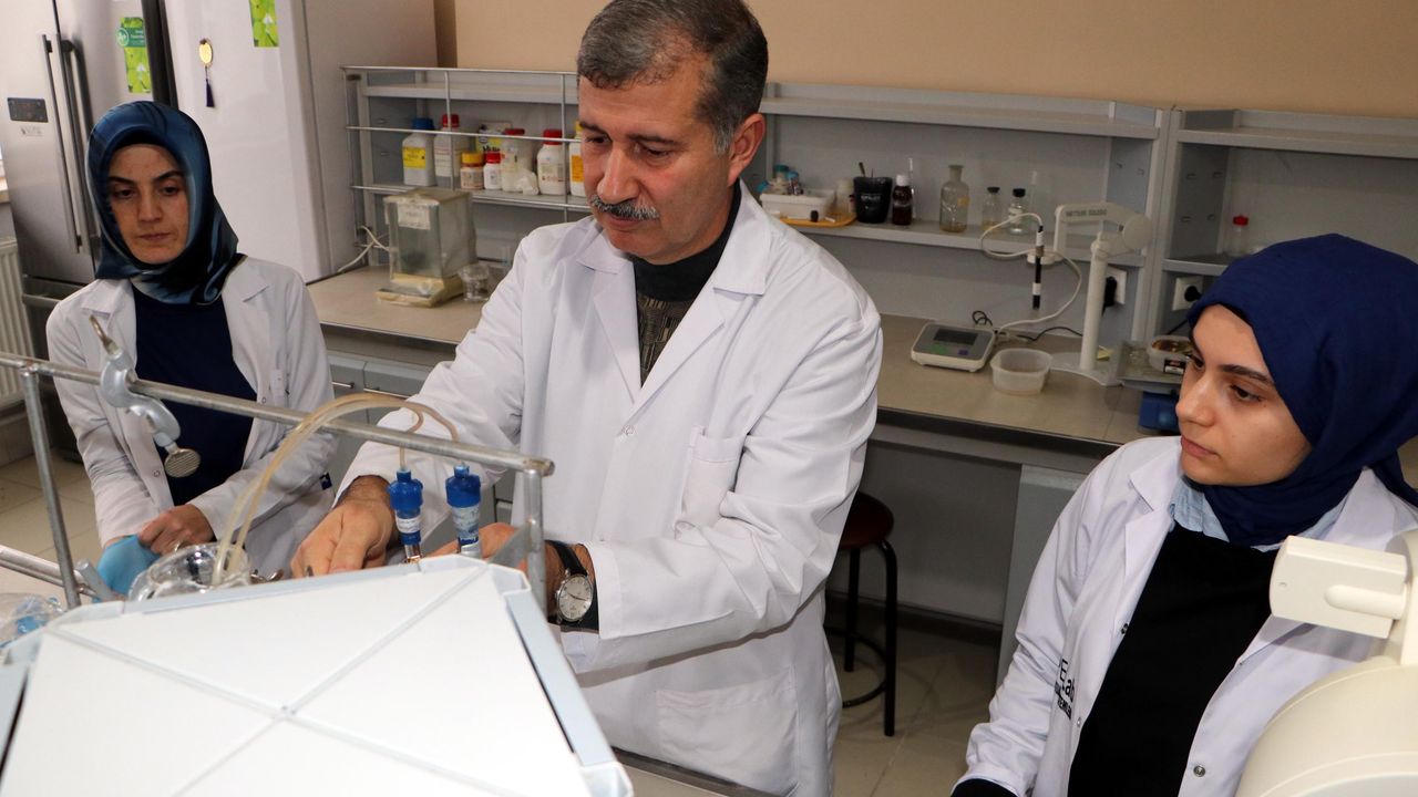 Prof. Dr. Gülçin: Zencefilde bulunan 'kurkumin' çok güçlü bir doğal antioksidan
