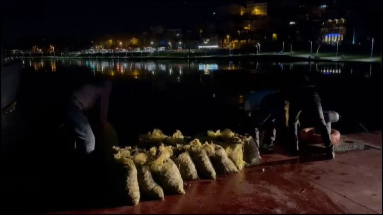 Sarıyer'de kaçak avlanan 1.5 ton midye denize döküldü