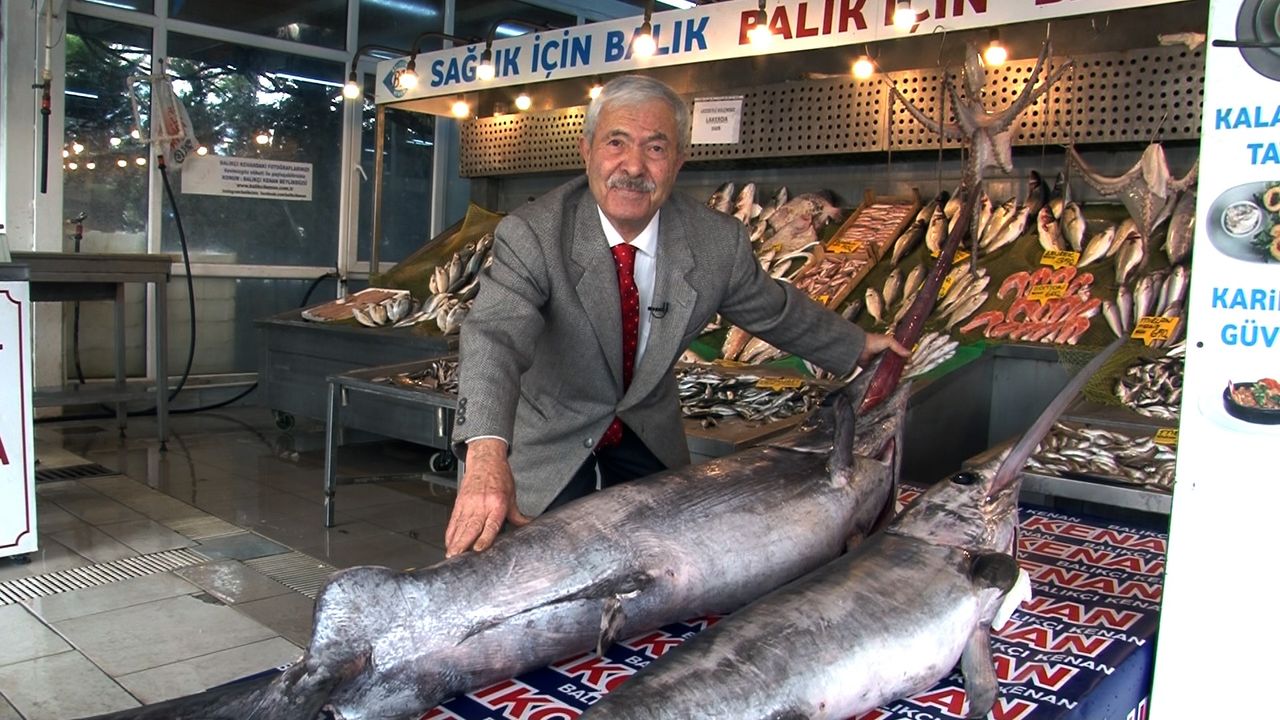 Marmara Denizi’nde dev kılıç balıkları ağlara takıldı