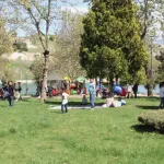Orman yasağını ihlal edenlere 1,9 milyon liralık ceza