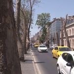 Asırlık çınarların kuruduğu iddiası gündem oldu