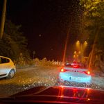 Sakarya'da milyonlarca kelebeğin ölüm dansı