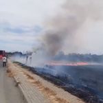 Silivri'de otluk alanda çıkan yangın evlere sıçramadan söndürüldü