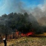 Çanakkale'de ot yangını 1 saatte kontrol altına alındı
