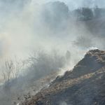 Büyükçekmece’de korkutan tarla yangını