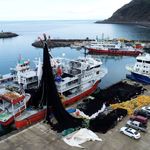 Balıkçılardan sezona hummalı hazırlık