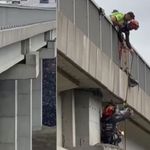 Kuzey Marmara Otoyolu’nda keçi kurtarma operasyonu