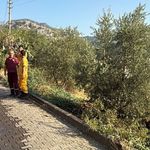 Orman ekiplerinin dikkati faciayı önledi: Şüpheli gözaltında