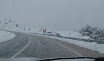 Bahar ortasında kar şoku: Her yer bembeyaz