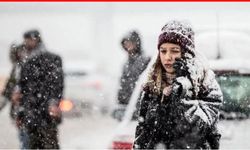 Bingöl'de kar tatili var mı? 12 Ocak 2026 Pazartesi Bingöl'de okullar tatil edildi mi? Son dakika açıklaması geldi