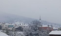 Nisanda yağan kar vatandaşın yüzünü güldürdü