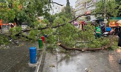 Başkentte fırtına hayatı felç etti: Ağaçlar devrildi, minareler yıkıldı!