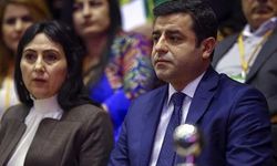 AİHM'den Selahattin Demirtaş ve Figen Yüksekdağ kararı