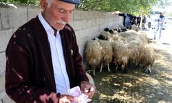 Kurban satışındaki yoğunluk bayramda da devam ediyor: Elde kalan kurbanlar ucuza gidiyor