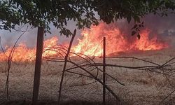 Siirt'te çıkan anız yangını sonucu 130 dönüm alan kül oldu!