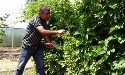 Yozgat'ta hobi olarak başlamıştı, şimdi talebe yetişemiyor!