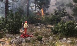 Bolu, Antalya, Denizli ve Eskişehir'de orman yangını! Alevlerle mücadele sürüyor