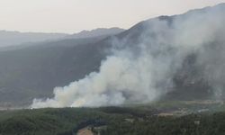 Bolu ve Antalya'da orman yangını! Ekipler bölgeye hareket etti