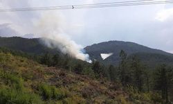 Bolu’da orman yangını! Havadan ve karadan müdahale başladı