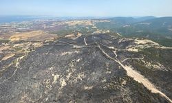 Çanakkale yangın bölgesinde acı tablo havadan böyle görüntülendi