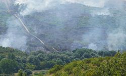 Edirne ve Adana’da orman yangını: Havadan ve karadan müdahale sürüyor