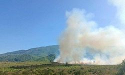 Burdur'da orman yangını: Söndürme çalışmaları sürüyor