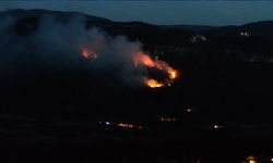 Karabük'te orman yangını