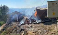 Kastamonu'daki köyde korkutan yangın! Şimdiden 10 ev küle döndü...