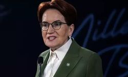 Meral Akşener hastalandı: Tüm programları iptal edildi