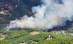 Antalya-Alanya'da orman yangını çıktı! Ekipler müdahale ediyor