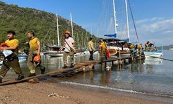 Muğla'da 1 günde düşen yıldırımlar nedeniyle 36 yangın