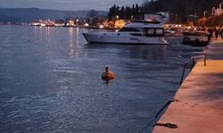 Sarıyer'de yılın son günü denize girip, buz gibi suya daldılar