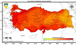 Kasımda, 67 merkezde ekstrem sıcaklık rekoru kırıldı