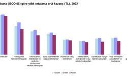 Yıllık en yüksek kazancı, finans ve sigorta çalışanları elde etti