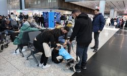 İstanbul Havalimanı'nda "Terapi Köpek Projesi" hayata geçirildi