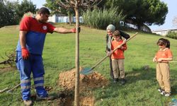 Kağıthane Belediyesi ilçeye 60 bin ağaç kazandırdı