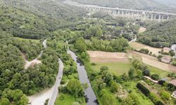 Beykoz'daki Riva Deresi kirle kaplandı: Suyunda pislik yüzüyor