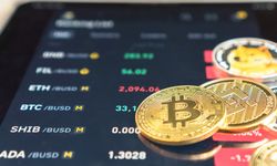 “Kurumsal ilgi, bitcoinin kalıcılığını teyit ediyor"