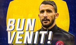 Mehmet Topal, Rumen ekibi Petrolul Ploie?ti'nin teknik direktörü oldu