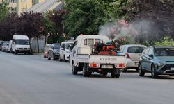 Küçükçekmece Belediyesi sivrisineklere karşı alarmda