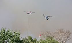Antalya’daki orman yangını 4,5 saatte kontrol altına alındı