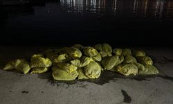 Beyoğlu'nda 1,5 ton kaçak midye ele geçirildi
