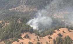 ADANA'da yangına müdahale için barajdan su alan helikopter düştü