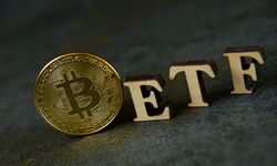 'Bitcoin ETF’lere yatırım yapan şirket sayısı ikinci çeyrekte yüzde 27 arttı'